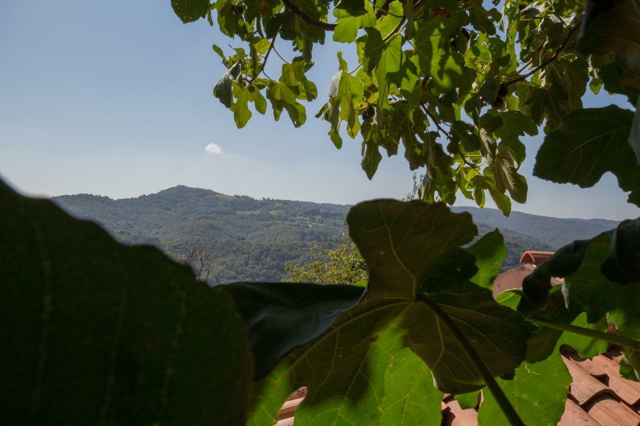 فيلا Casa Krajnova Oblizza المظهر الخارجي الصورة
